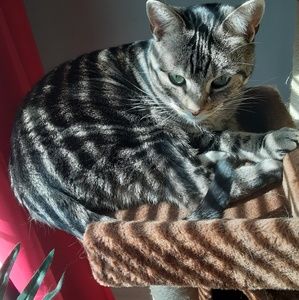 Meet your Posher, Micaela